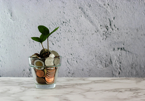 Pot filled with coins and a  plant